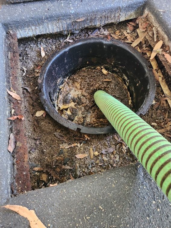 Landsborough Septic Services work