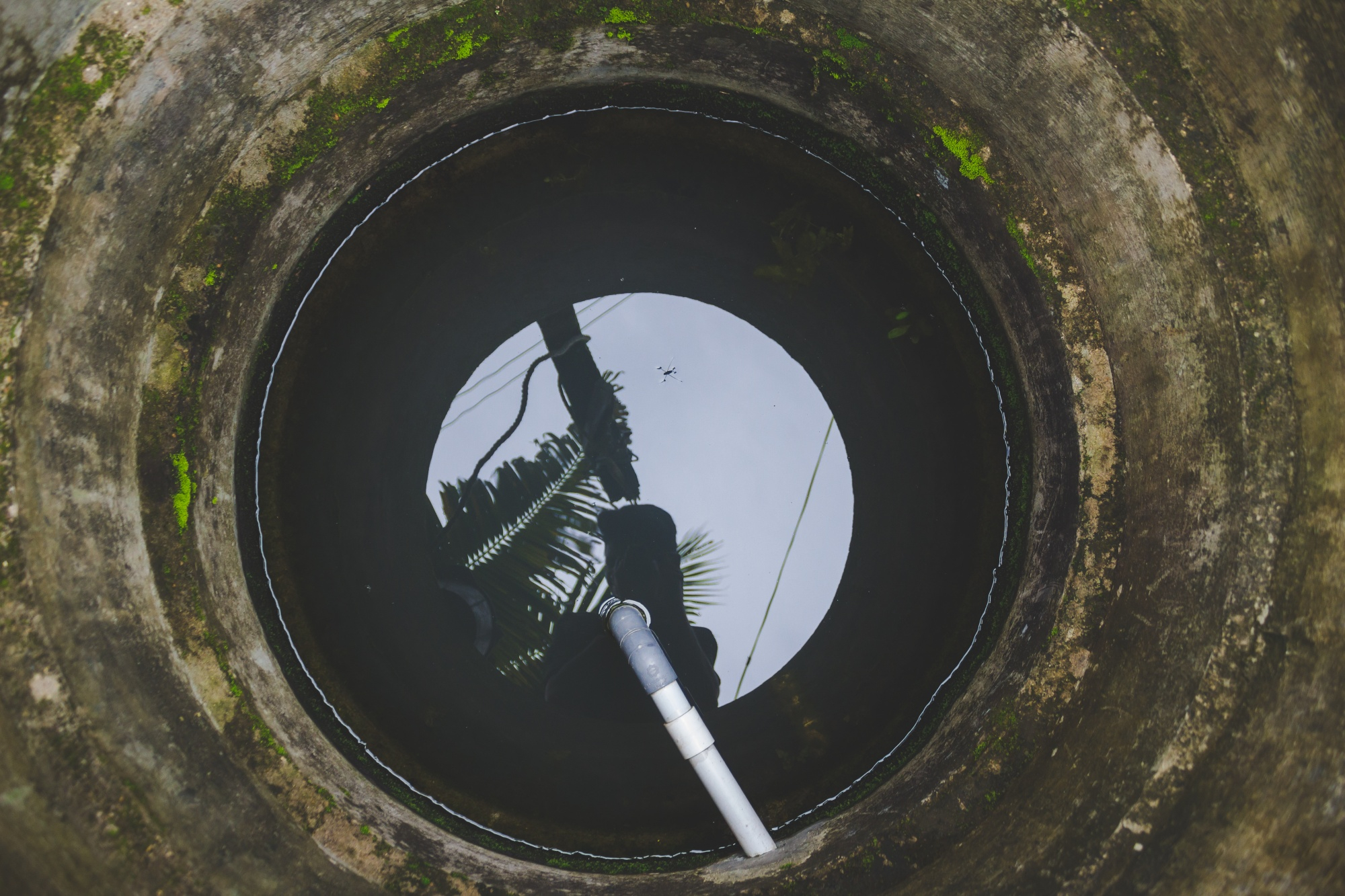 Septic Systems NSW